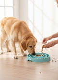 Slow Feeder Dog Bowl — Easy Non-Slip Puppy Feeding Dish for Small, Medium & Large Dogs